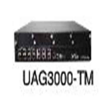 迪普 UAG3000-TM+3Y